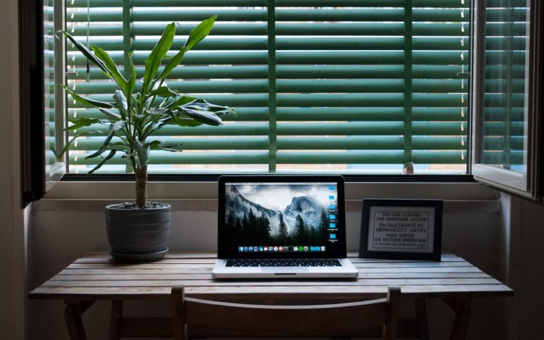 Low-Light Plants For The Home And Office
